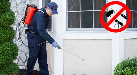 Boğazkale Hamam Böceği İlaçlama böcek ilaçlama ve haşere kontrolü — ilaclama-tr.com